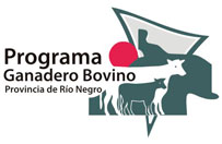 GANADERO BOVINO